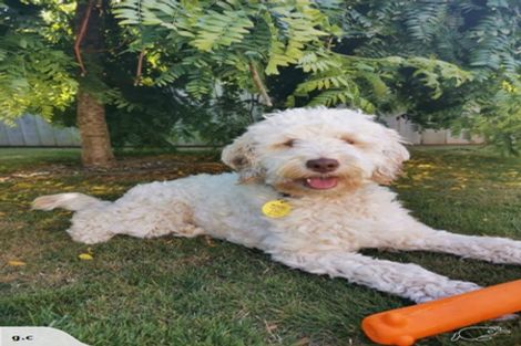 Photo of property in 5 Sun Valley Way, Wainuiomata, Lower Hutt, 5014