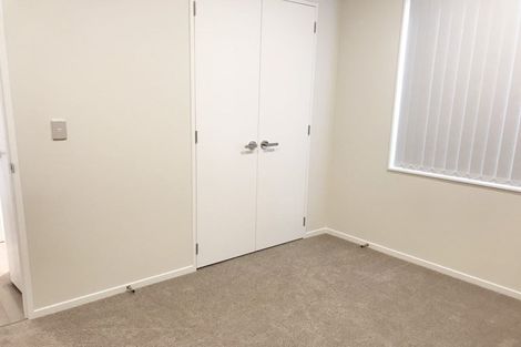 Photo of property in 17 Lime Hill Rise, Flat Bush, Auckland, 2019