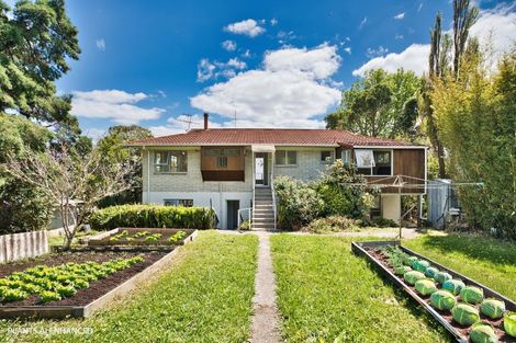 Photo of property in 10 Brunner Road, Glen Eden, Auckland, 0602