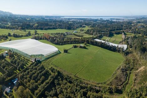 Photo of property in 291 Rea Road, Tahawai, 3178