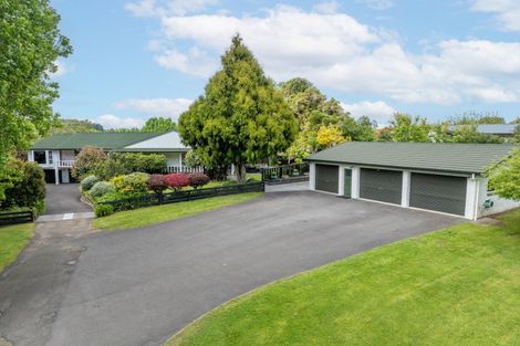 Photo of property in 44 River View Road, Morrinsville, 3300