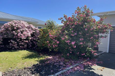 Photo of property in 46 Redcastle Road, Oamaru North, Oamaru, 9400