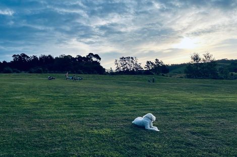 Photo of property in 2138 Cove Road, Mangawhai, 0573