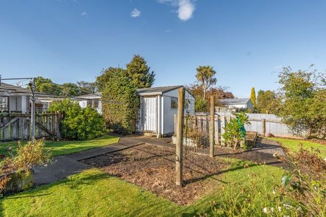 Photo of property in 3 Rimu Street, Lansdowne, Masterton, 5810