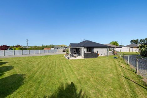 Photo of property in 23a Beaumont Street, Seddon, 7210