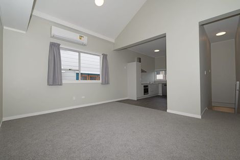 Photo of property in 17 Hanson Street, Mount Cook, Wellington, 6021