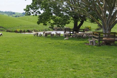 Photo of property in 1962 State Highway 2, Waipukurau, 4275