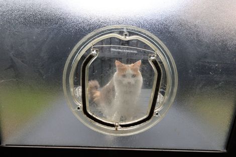 Photo of property in 4/7 Settlement Road, Papakura, 2110