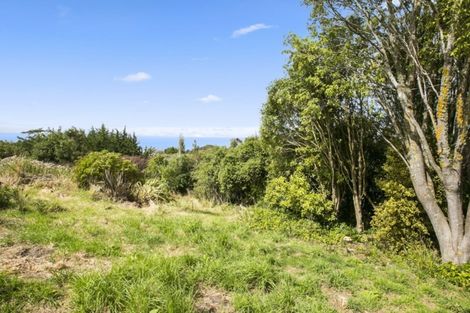 Photo of property in 712 Coast Road, Seacliff, Waikouaiti, 9471