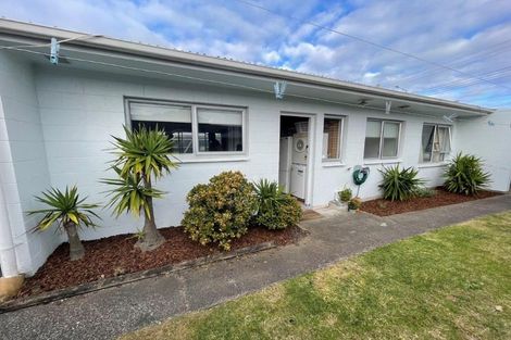 Photo of property in 61 Girven Road, Mount Maunganui, 3116