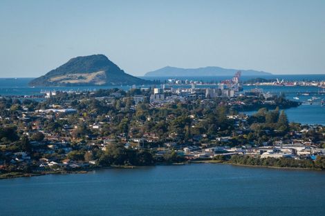 Photo of property in 119 Haukore Street, Hairini, Tauranga, 3112