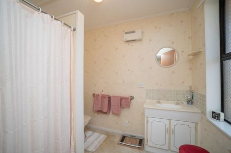 Photo of property in 100 Monrad Street, Highbury, Palmerston North, 4412