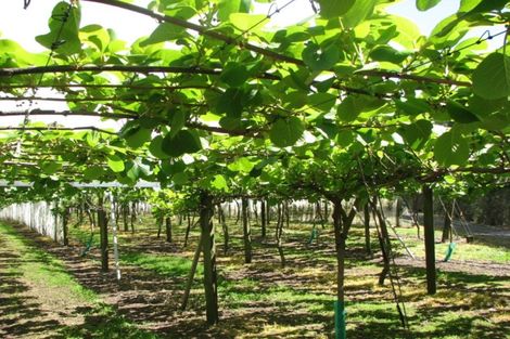 Photo of property in 1082 Te Matai Road, Te Ranga, Te Puke, 3188