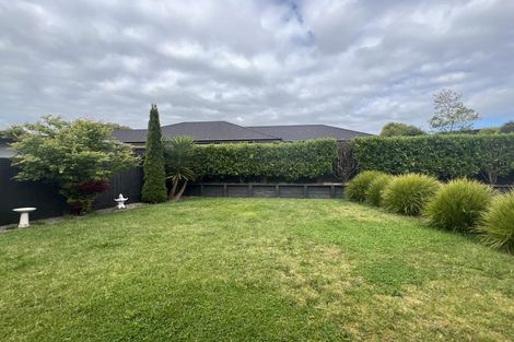 Photo of property in 8 Rigg Place, Flagstaff, Hamilton, 3210