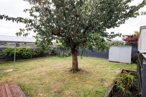 Photo of property in 172 Monrad Street, Highbury, Palmerston North, 4412