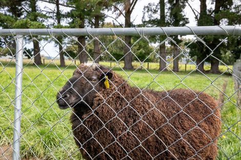 Photo of property in 657 Domett Road, Domett, Cheviot, 7382