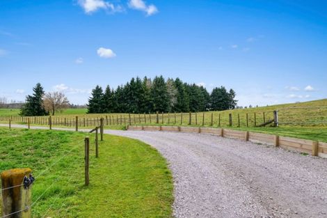 Photo of property in 271 Rawhiti Road, Reporoa, 3081