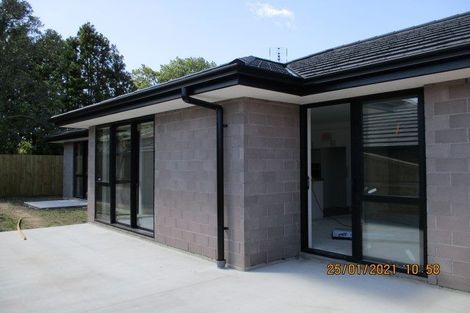 Photo of property in 11 Clover Lane, Pyes Pa, Tauranga, 3112