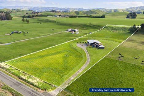 Photo of property in 627 Pinfold Road, Papatawa, Woodville, 4998
