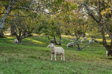 Photo of property in 17 Golf Harbour Drive, Maunu, Whangarei, 0179