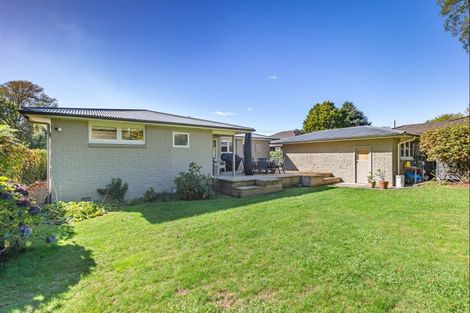 Photo of property in 66 Macarthur Street, Levin, 5510