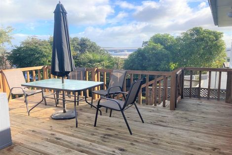 Photo of property in 55 Corrin Street, Melville, Hamilton, 3206