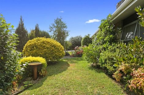 Photo of property in 143 Tirau Street, Putaruru, 3411