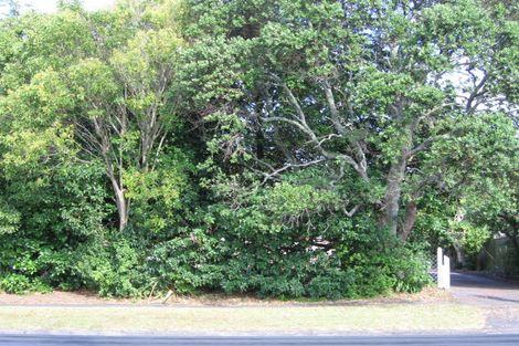 Photo of property in 52 Golf Road, New Lynn, Auckland, 0600