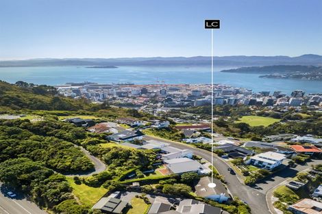 Photo of property in 3 Puketiro Avenue, Northland, Wellington, 6012