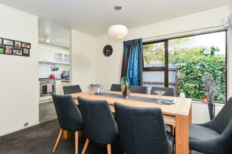 Photo of property in 49d Carey Street, Maeroa, Hamilton, 3200