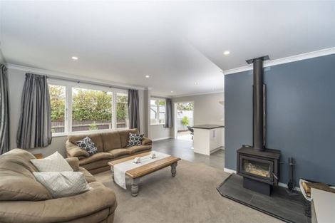Photo of property in 119 Colombo Road, Masterton, 5810