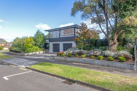 Photo of property in 33 Newcastle Street, Hokowhitu, Palmerston North, 4410