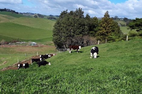 Photo of property in 389 Wortley Road, Waiongana, Inglewood, 4389