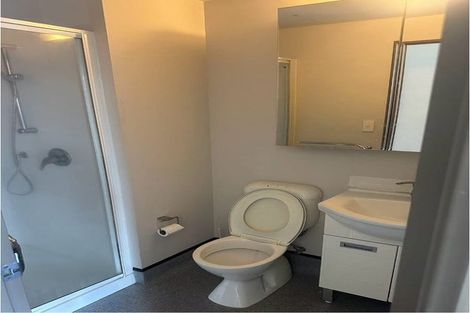 Photo of property in Dual Apartments, 108/142 Vivian Street, Te Aro, Wellington, 6011