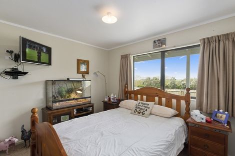 Photo of property in 91 Buckley Road, Shannon, Palmerston North, 4474