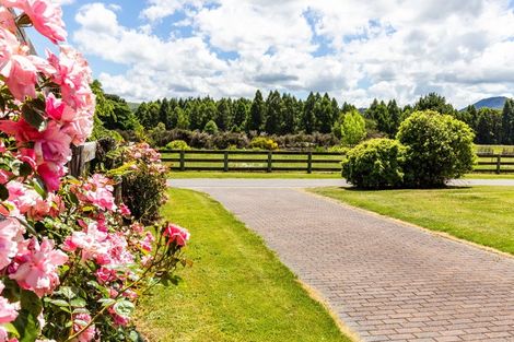 Photo of property in 108 Kinloch Road, Kinloch, Taupo, 3377