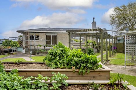 Photo of property in 9 Eleanor Place, Whakatane, 3120