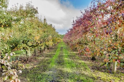 Photo of property in 104 Hoggs Road, Kuku, Levin, 5570