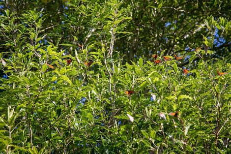 Photo of property in 261 Shakespeare Street, Leamington, Cambridge, 3432