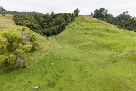 Photo of property in 29 Kuku Road, Pohangina, Ashhurst, 4884