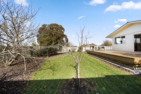 Photo of property in 455 Kahikatea Drive, Dinsdale, Hamilton, 3204