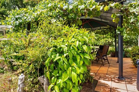 Photo of property in 290 Paihia Road, Kawakawa, 0282