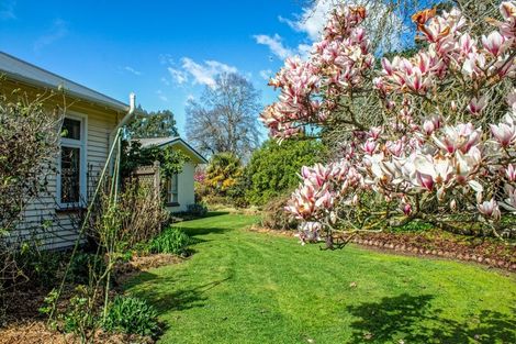 Photo of property in 1661 North Eyre Road, West Eyreton, Rangiora, 7475