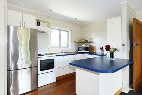 Photo of property in 54 William Street, Richmond, 7020