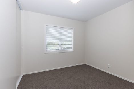 Photo of property in 52e Fifth Avenue, Enderley, Hamilton, 3214