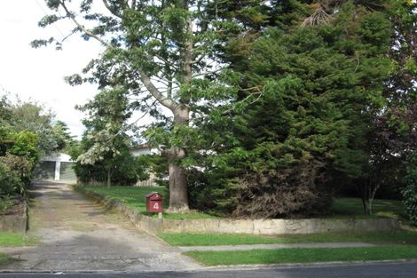 Photo of property in 4 Okoroire Street, Tirau, 3410