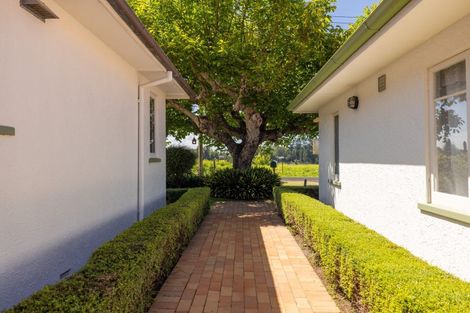 Photo of property in 309 Plummers Point Road, Whakamarama, Tauranga, 3172