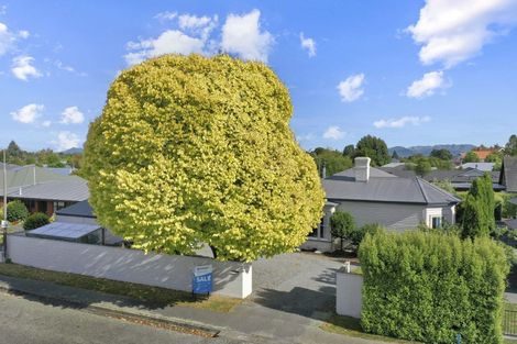 Photo of property in 2 Grove Street, Tinwald, Ashburton, 7700