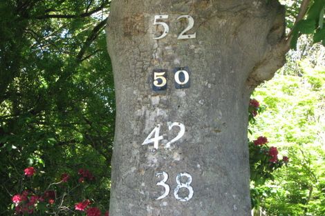 Photo of property in 50 Banks Avenue, Dallington, Christchurch, 8061