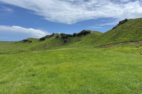 Photo of property in 429 Te Akau South Road, Te Akau, Ngaruawahia, 3793